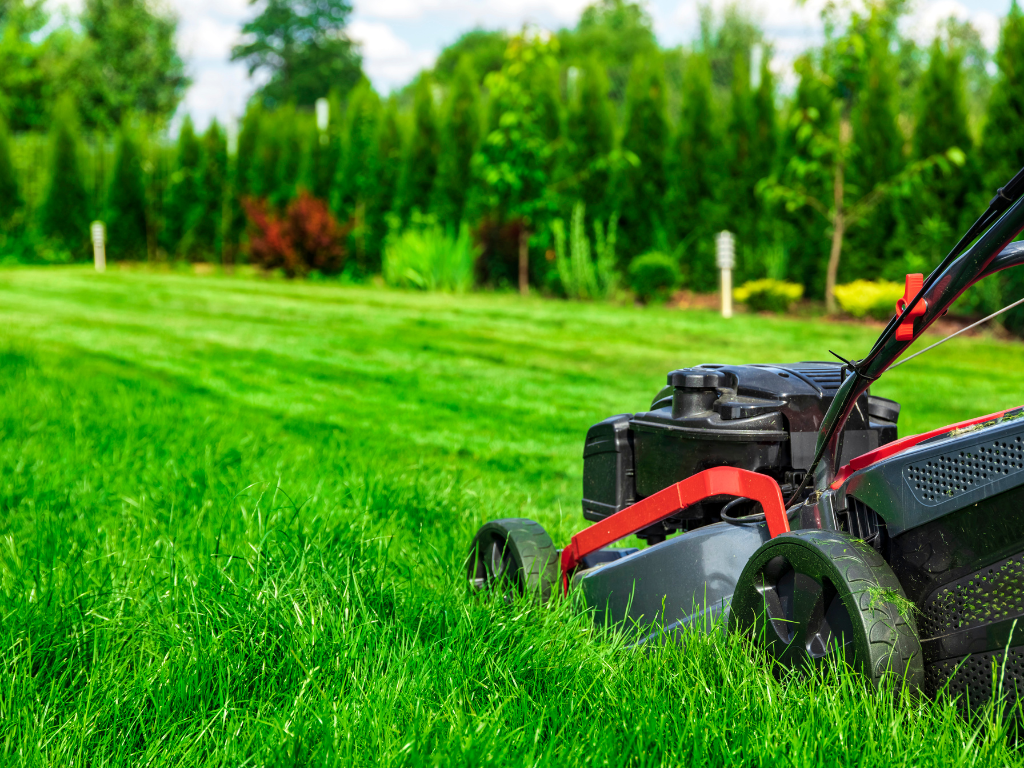 Lawn Mower on Medium Backyard