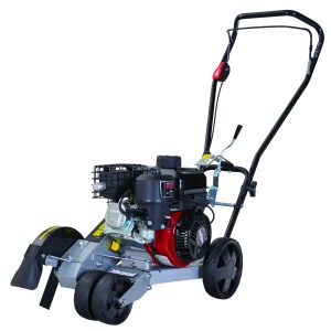 Petrol Edger - B&S