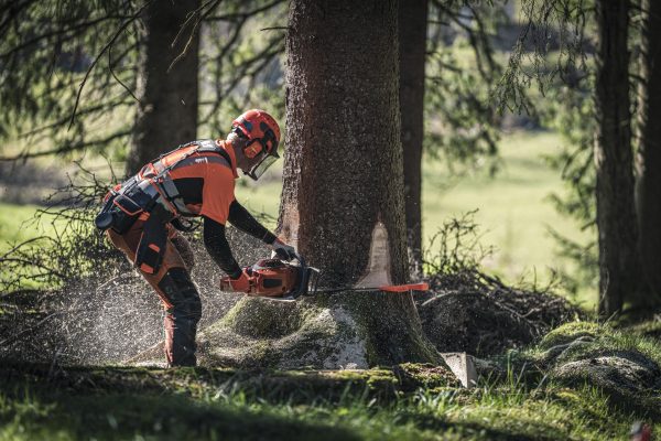 HUSQVARNA 572 XP® - Image 2