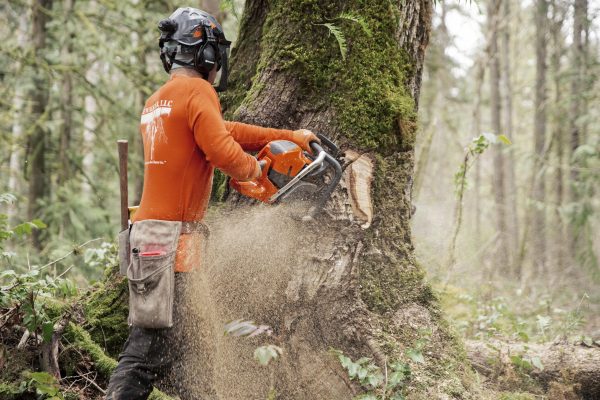 HUSQVARNA 592 XP® - Image 6