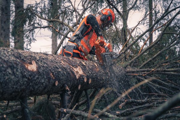 HUSQVARNA 592 XP® - Image 2