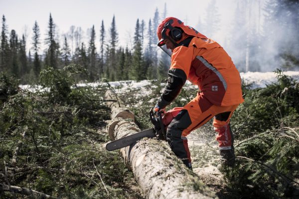 HUSQVARNA 565 AutoTune™ - Image 2