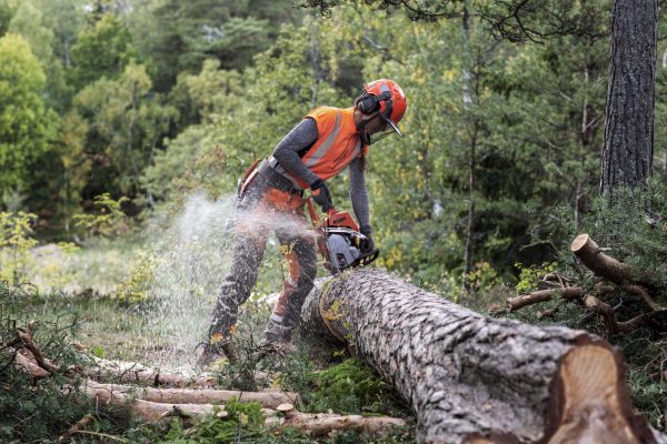 HUSQVARNA 550 XP® Mark II - Image 6