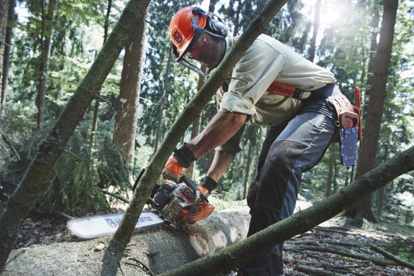 HUSQVARNA 562 XP® - Image 3