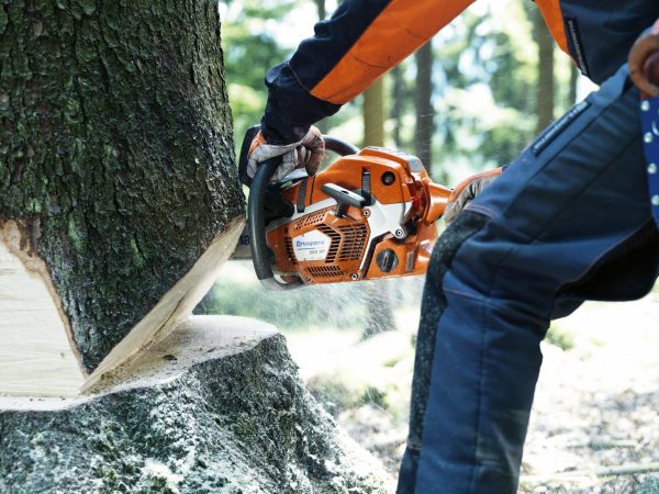 HUSQVARNA 562 XP® - Image 4