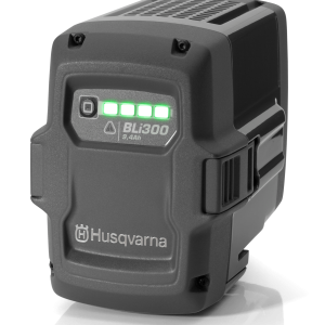 Battery BLi300