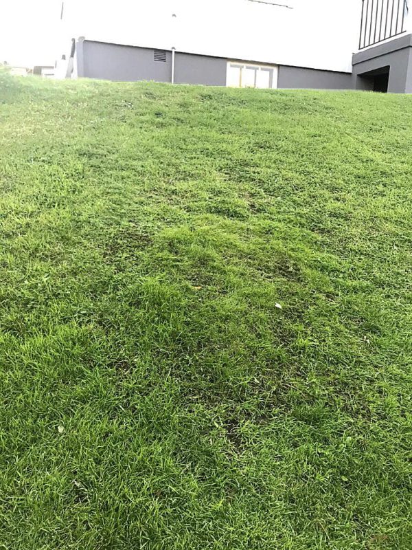 Husqvarna Automower® Hybrid Grass - Image 2