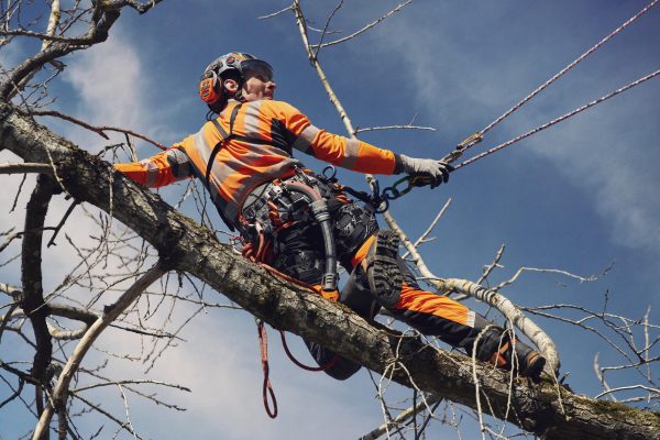 Husqvarna climbing rope 11.5 mm - Image 3