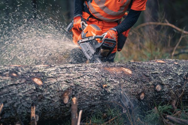 HUSQVARNA 592 XP® - Image 8