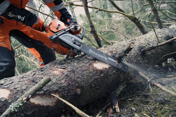 HUSQVARNA 572 XP® - Image 3