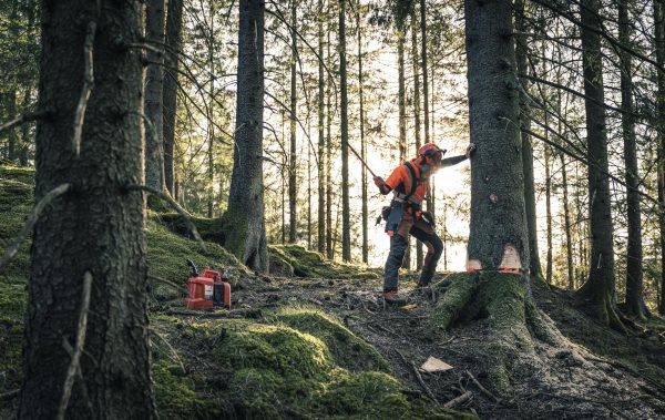 HUSQVARNA 572 XP® - Image 5